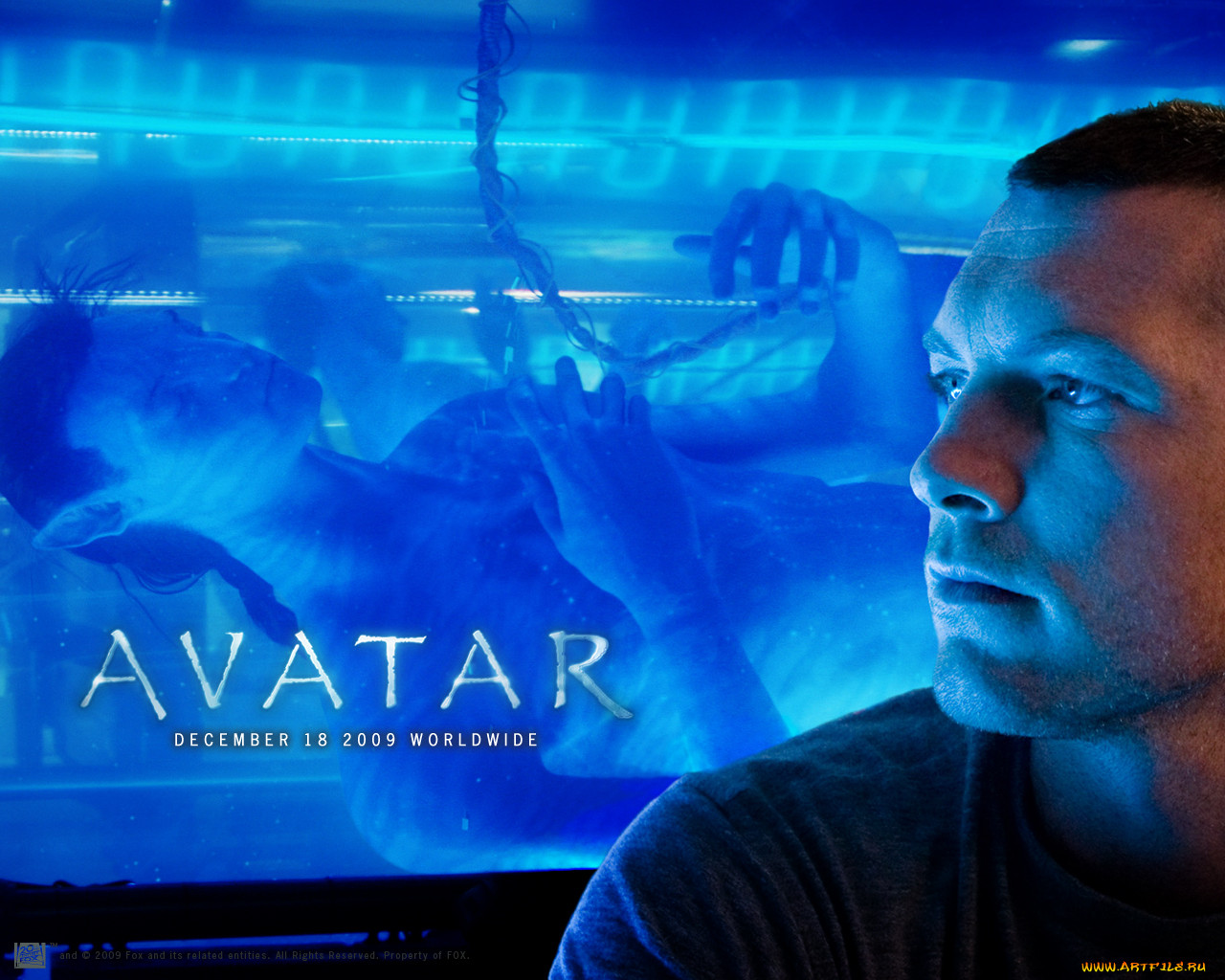 avatar, , 